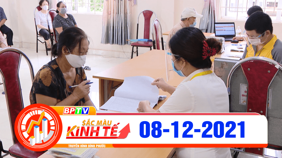 Sắc màu kinh tế 08-12-2021 	