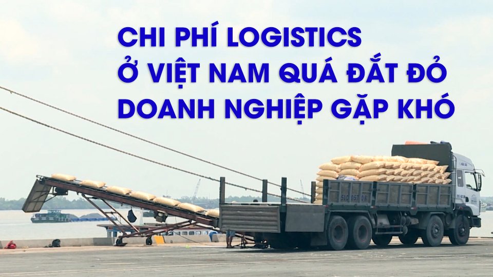 Sắc màu kinh tế 12-8-2021 | Bộ Công thương đề nghị giảm chi phí logistics