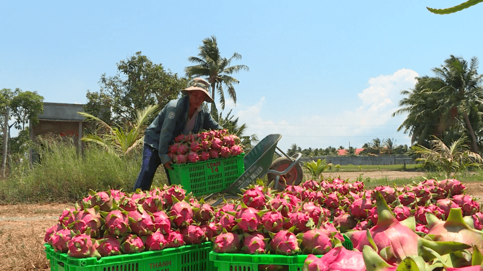 Sắc màu kinh tế 13-01-2022
