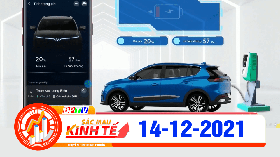 Sắc màu kinh tế 14-12-2021 