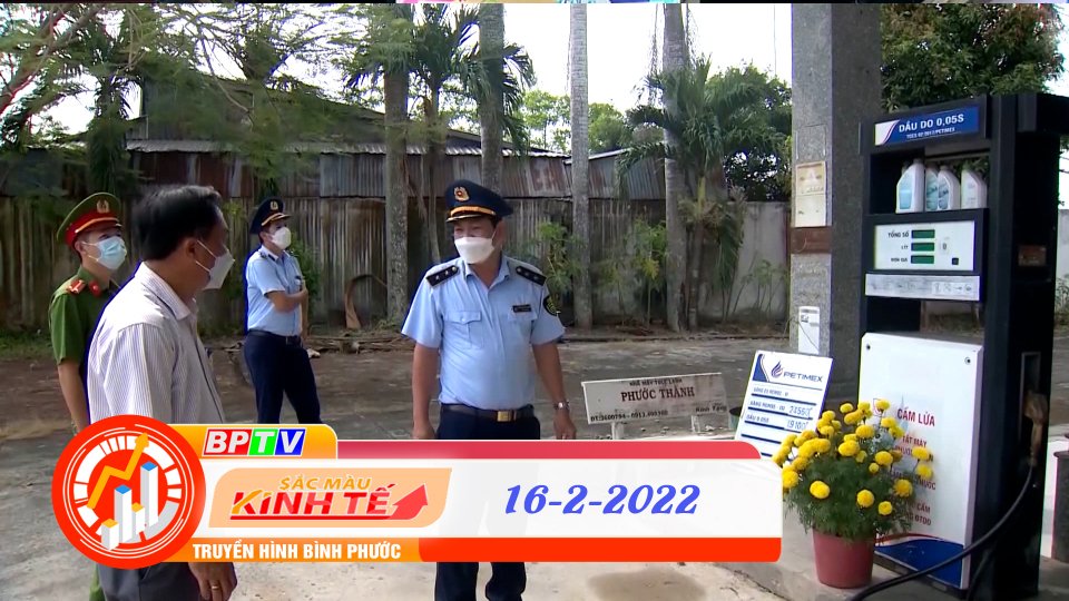 Sắc màu kinh tế 16-2-2022 