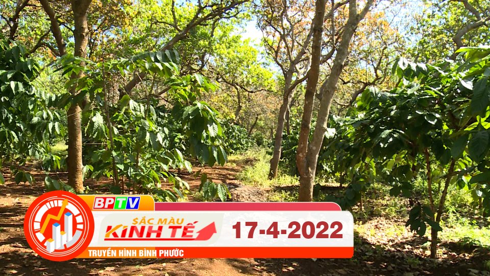 Sắc màu kinh tế 17-4-2022 