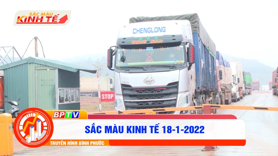 SẮC MÀU KINH TẾ 18-1-2022