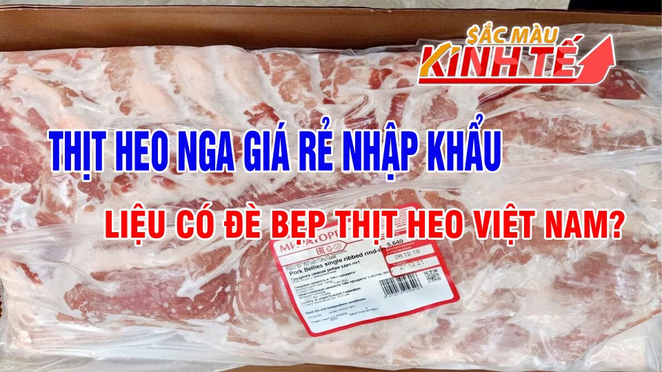 SẮC MÀU KINH TẾ | 18-5-2021 | Thịt heo Nga giá rẻ ào ào đổ về Việt Nam