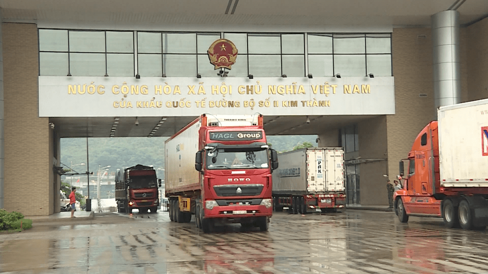 Sắc màu kinh tế 19-1-2022