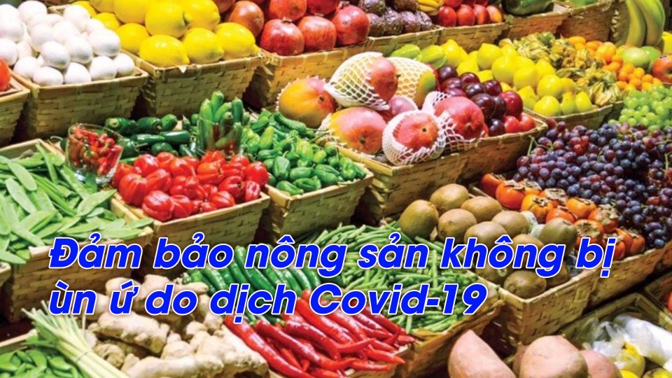 SẮC MÀU KINH TẾ |19-7-2021| Thành lập Tổ công tác chỉ đạo sản xuất, tiêu thụ nông sản phía Nam
