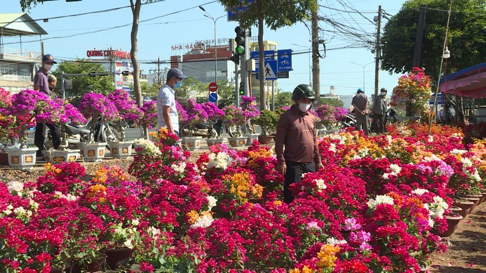 Sắc màu kinh tế 20-1-2022 	