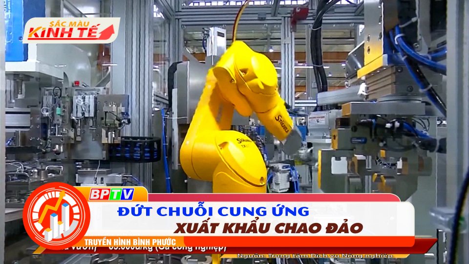 SẮC MÀU KINH TẾ |20-9-2021| Xuất khẩu chao đảo vì đứt chuỗi cung ứng