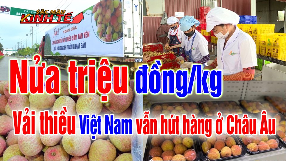 SẮC MÀU KINH TẾ |21-6-2021| Vải thiều Việt Nam “hút hàng” ở Châu Âu