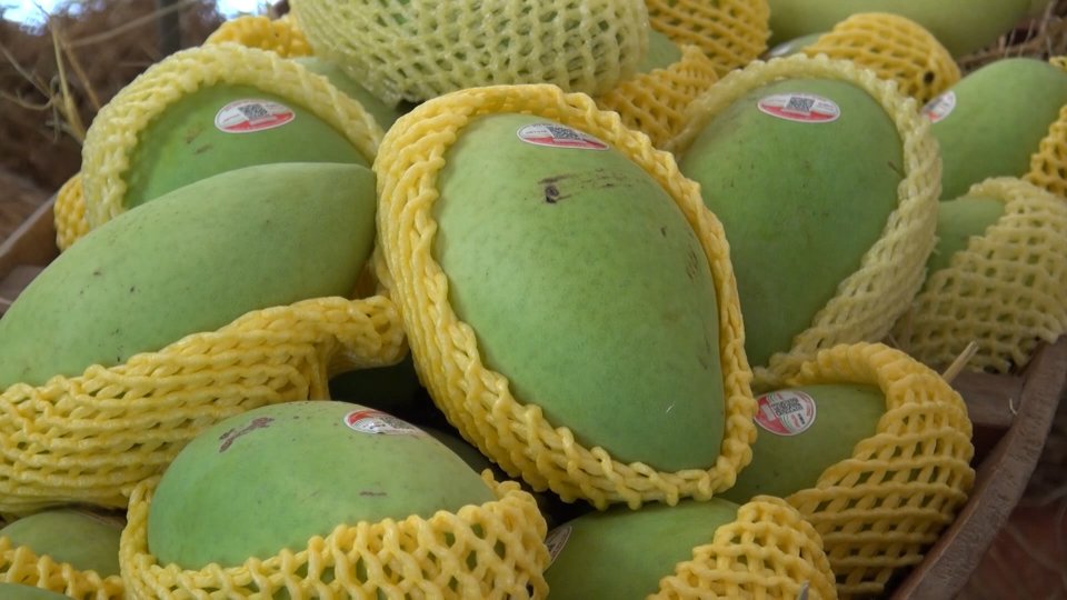 Sắc màu kinh tế 24-1-2022