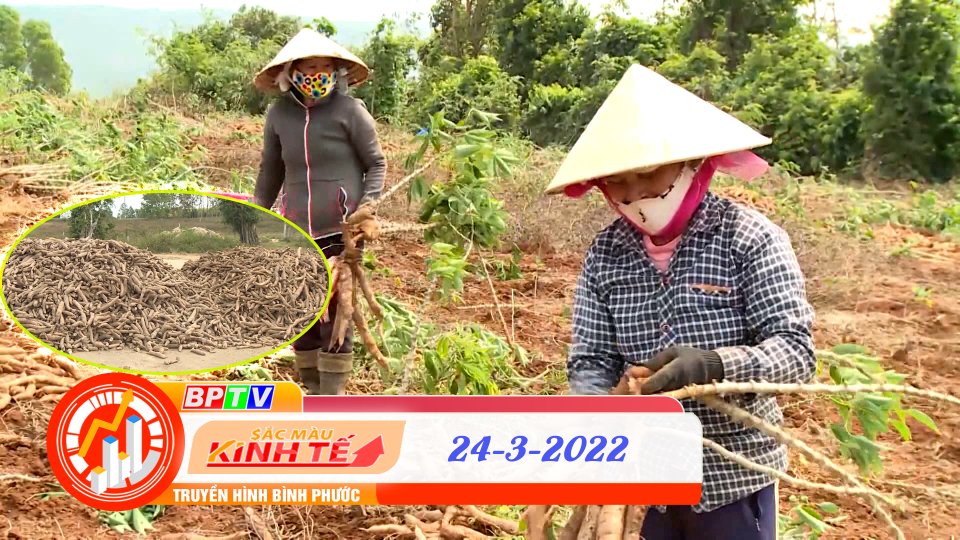 Sắc màu kinh tế 24-3-2022