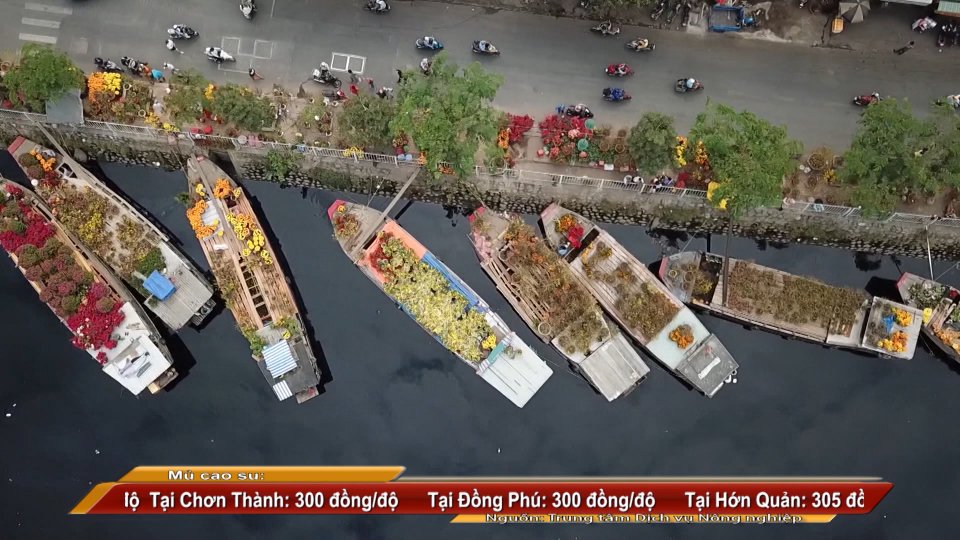 SẮC MÀU KINH TẾ 28-12-2021 