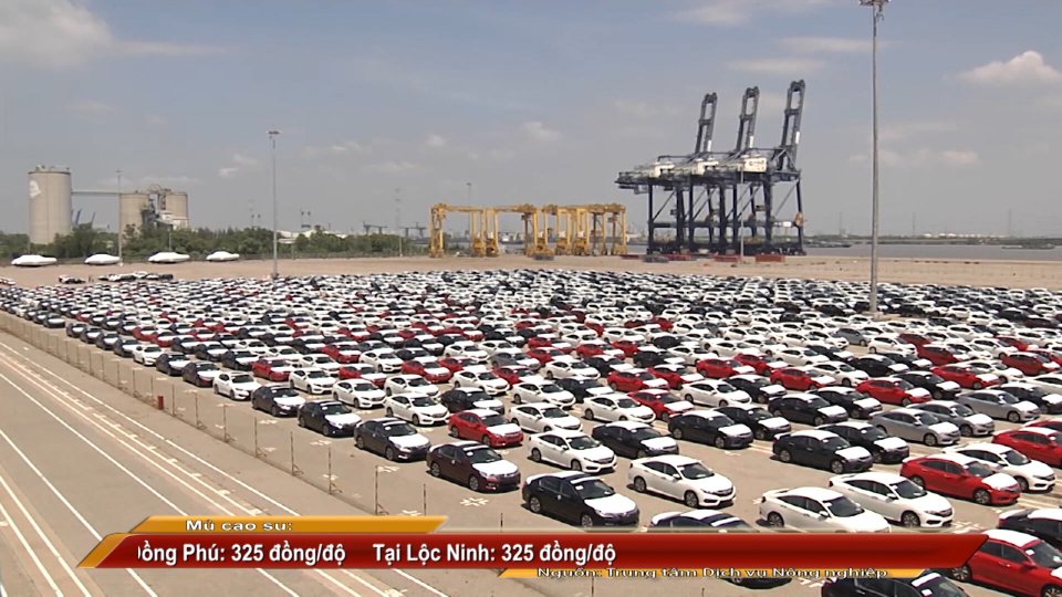 Bản tin Sắc màu kinh tế ngày 29-10-2021