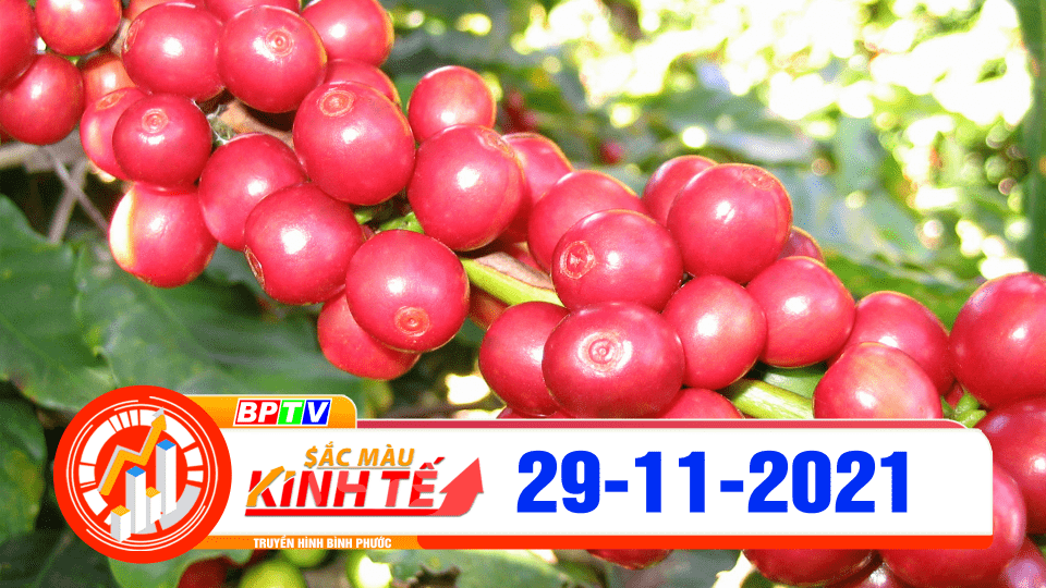 Sắc màu kinh tế 29-11-2021 	