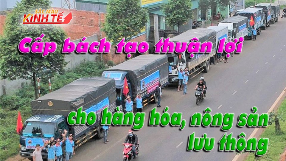 SẮC MÀU KINH TẾ |29-7-2021| Tập trung giải quyết lưu thông hàng hóa, nông sản