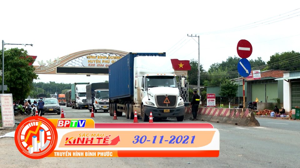 SẮC MÀU KINH TẾ 30-11-2021 