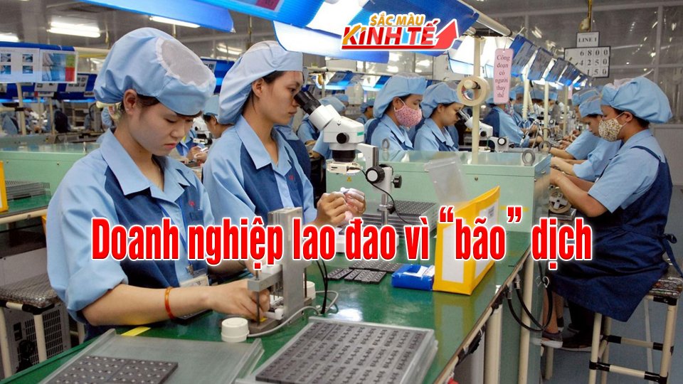SẮC MÀU KINH TẾ | 30-7-2-21 | Gần 80.000 doanh nghiệp tạm dừng hoạt động và chờ giải thể vì Covid-19