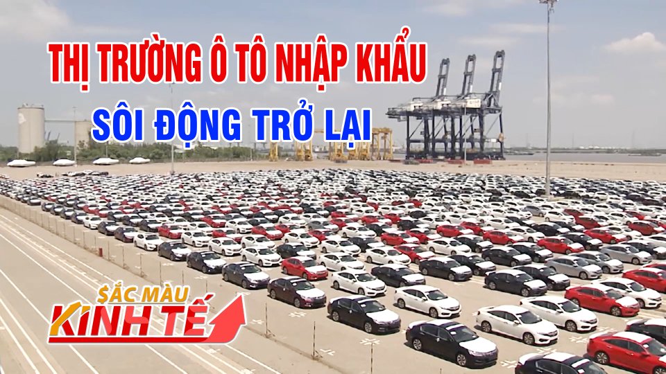 SẮC MÀU KINH TẾ | 5-4-2021 | Thị trường khởi sắc, ô tô nhập khẩu vào Việt Nam tăng đột biến