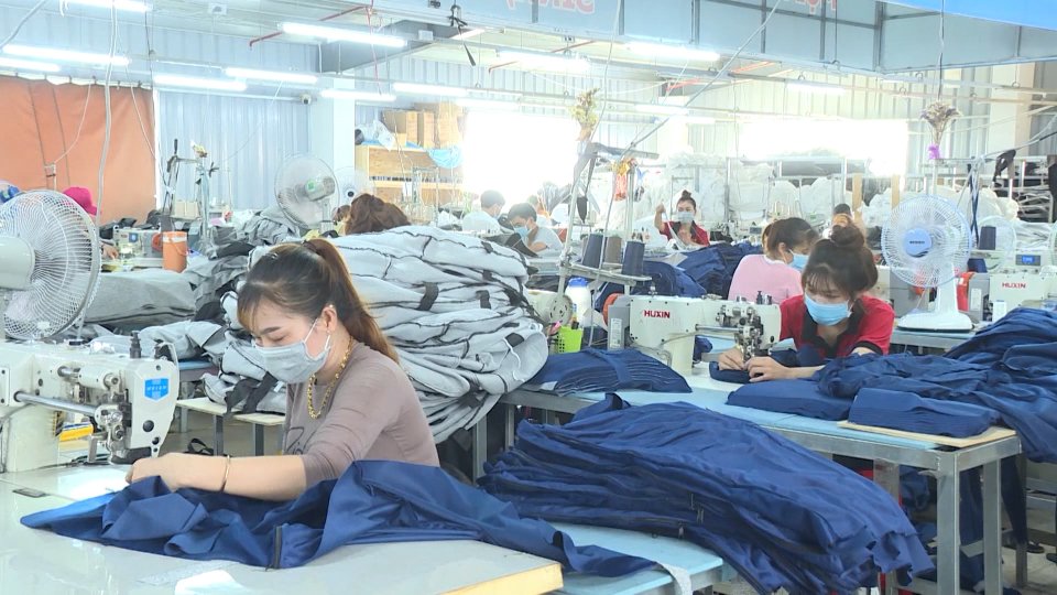 Sắc màu kinh tế 7-12-2021