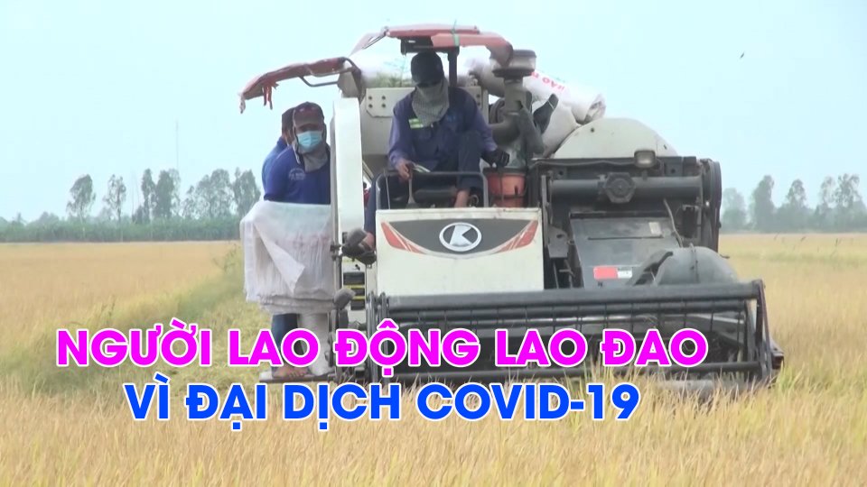 SẮC MÀU KINH TẾ |7-7-2021|  Gần 13 triệu người gặp khó vì đại dịch