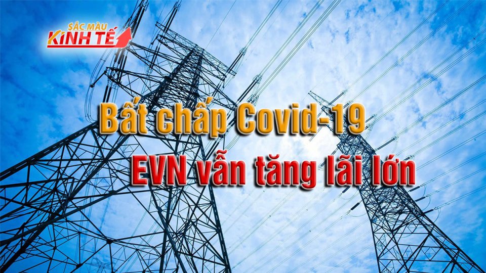 SẮC MÀU KINH TẾ | EVN lãi “khủng” trong năm 2020