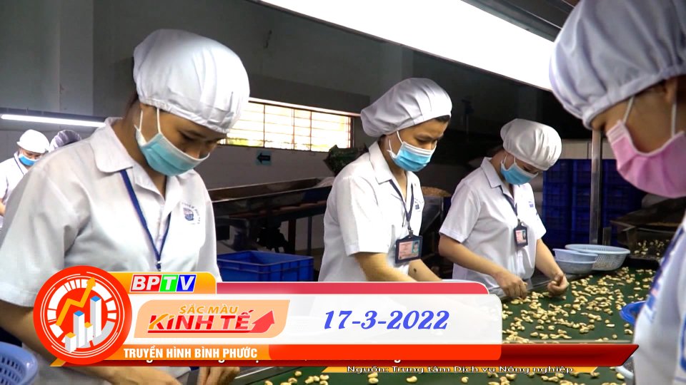 Sắc màu kinh tế ngày 17-3-2022 