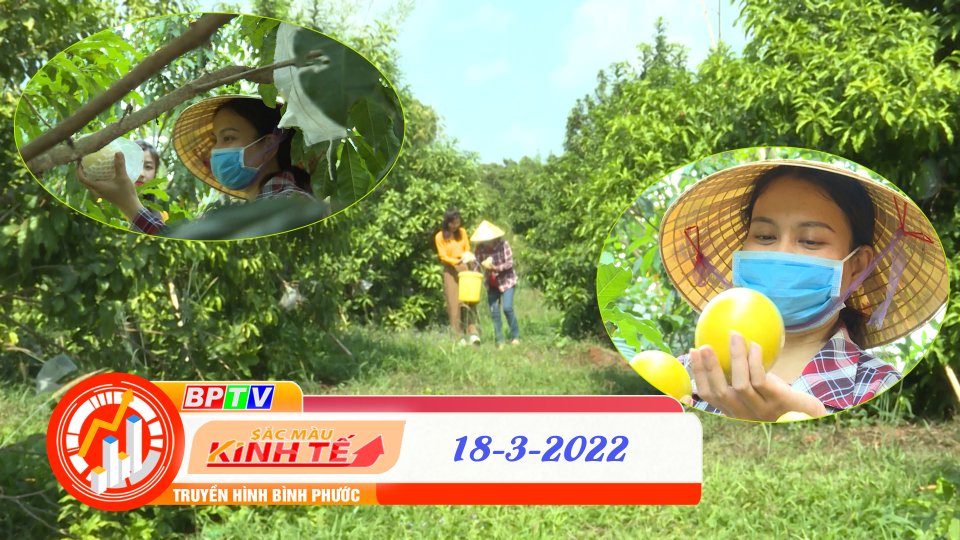 Sắc màu kinh tế ngày 18-3-2022 