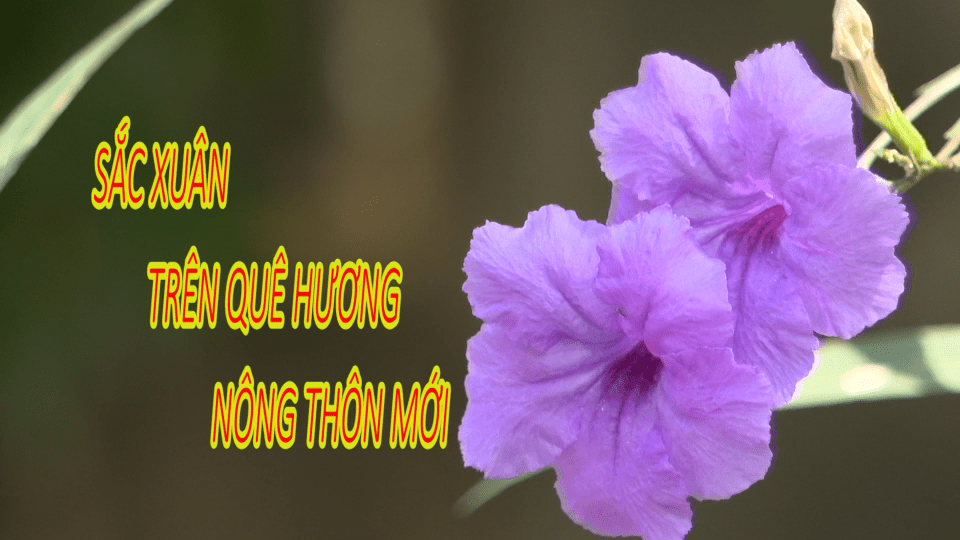 Sắc xuân trên quê hương nông thôn mới