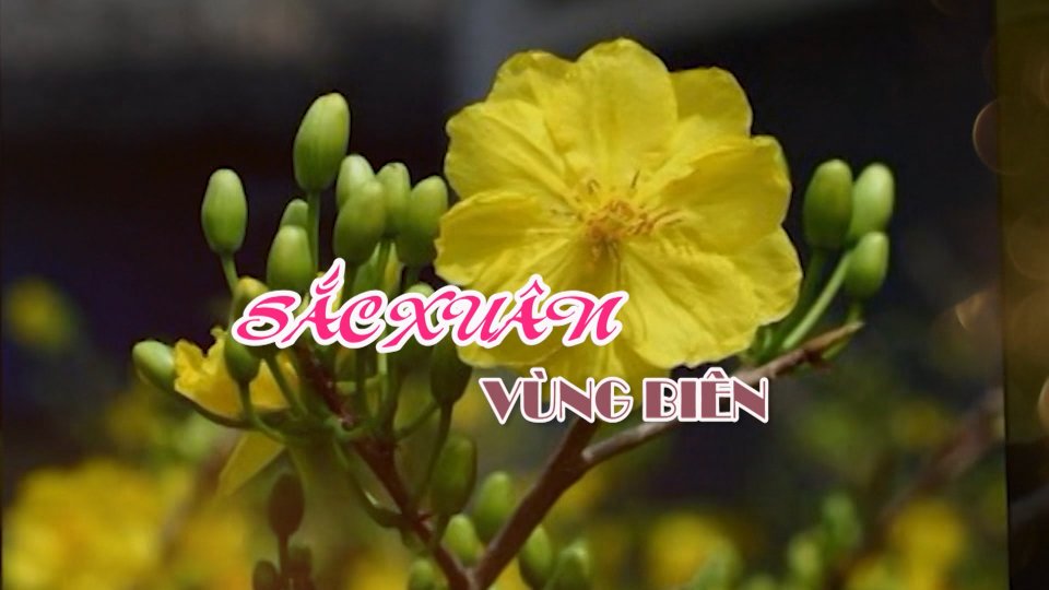 Sắc Xuân vùng biên