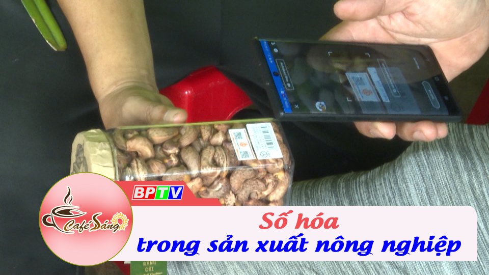 Số hóa trong sản xuất nông nghiệp | Cà phê sáng 17-8-2022 || BPTV
