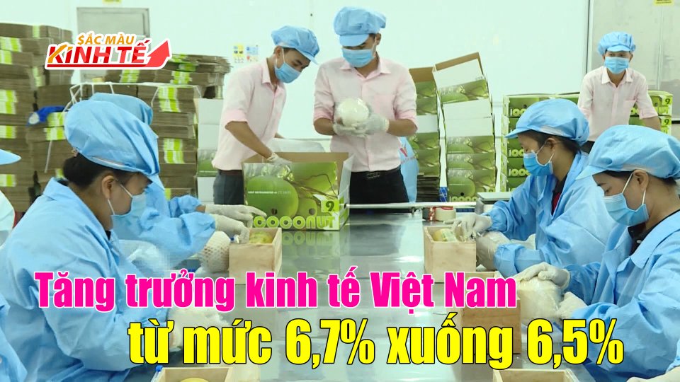 Standard Chartered hạ dự báo tăng trưởng kinh tế của Việt Nam |Sắc màu kinh tế 2-9-2021 |BPTV