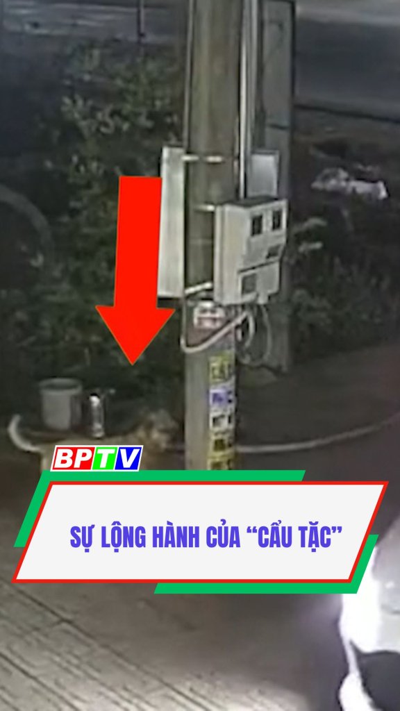 Sự lộng h&agrave;nh của &ldquo;cẩu tặc&rdquo; #shorts