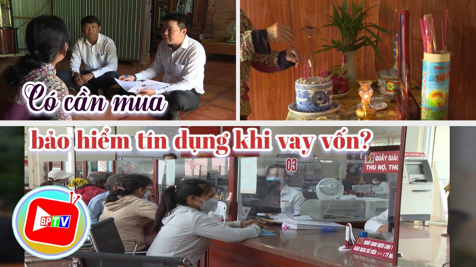 Sự thật đằng sau việc mua bảo hiểm bảo an tín dụng khi vay vốn 