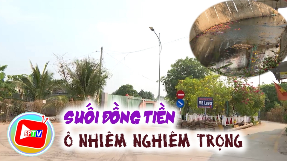 Suối Đồng Tiền ô nhiễm nghiêm trọng |BPTV 