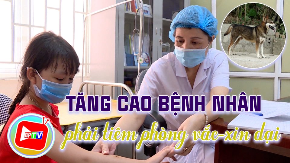 Tăng cao bệnh nhân phải tiêm phòng vắc-xin dại 