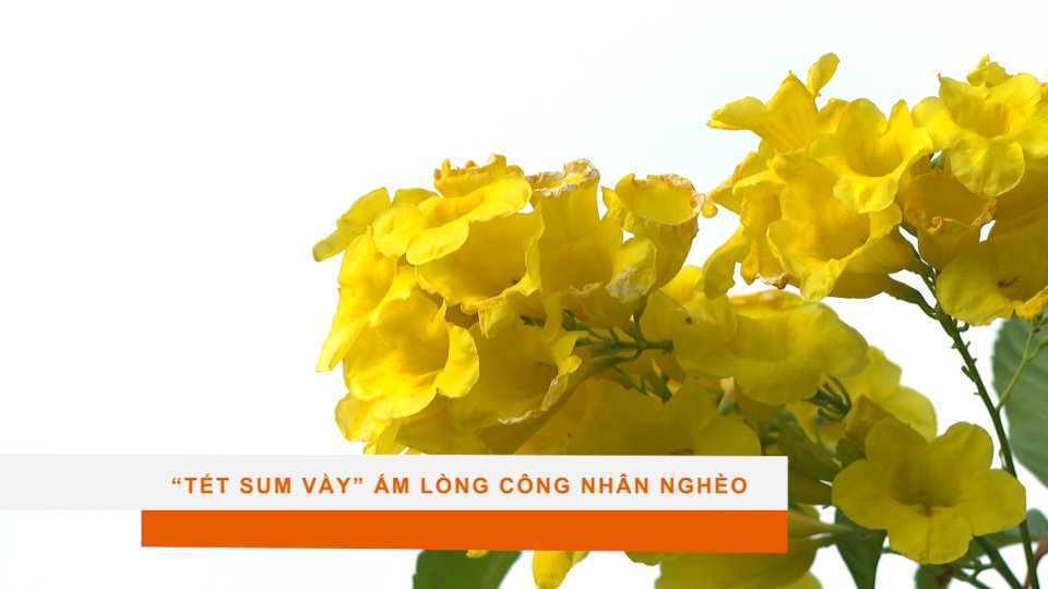 "TẾT SUM VẦY" ẤM LÒNG CÔNG NHÂN NGHÈO