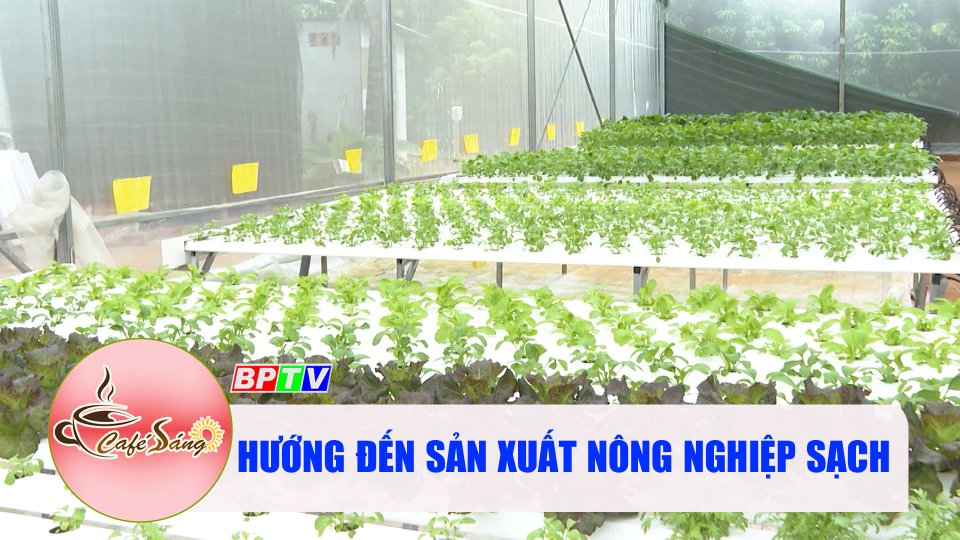 Thay đổi tư duy để hướng đến sản xuất nông nghiệp sạch |Cà phê sáng 20-7-2022 |||BPTV