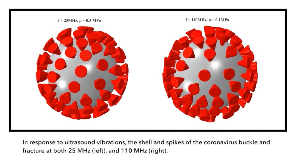 Thêm nhiều phát hiện về virus SARS-CoV-2 