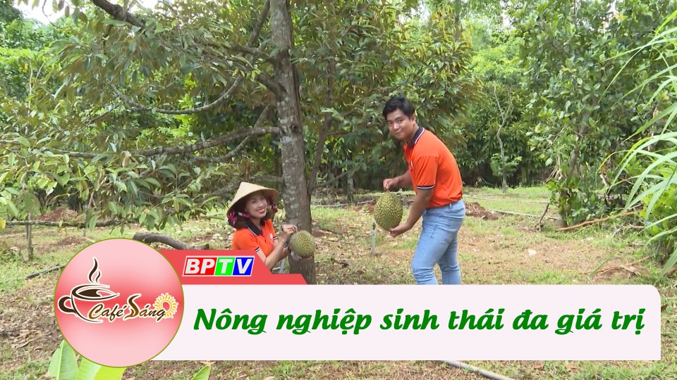 Theo chân nông nghiệp sinh thái | Cà phê sáng 7-7-2022 | BPTV
