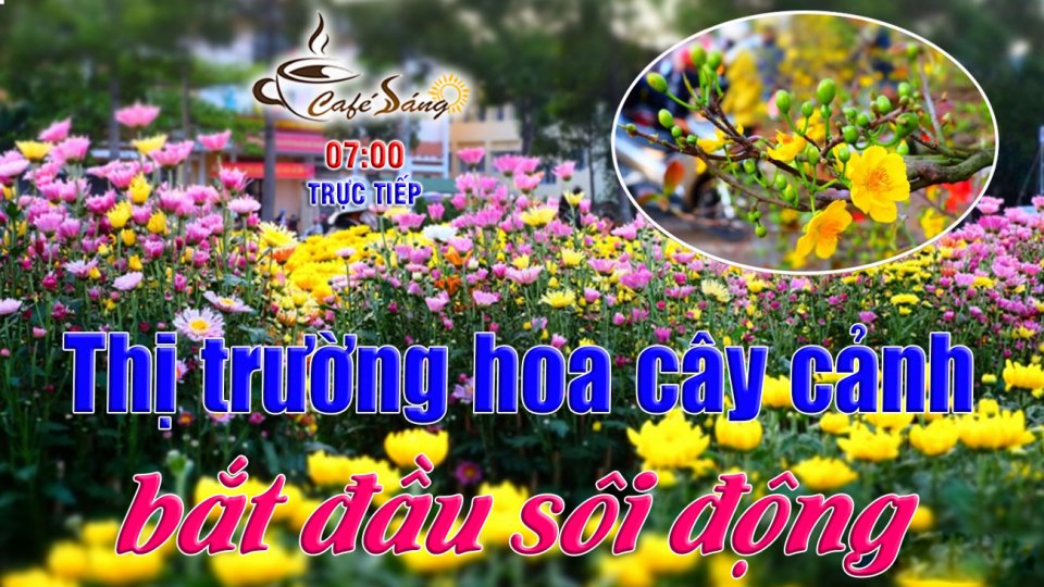 Thị trường hoa cây cảnh bắt đầu sôi động |Cà phê sáng 21-1-2022 |BPTV