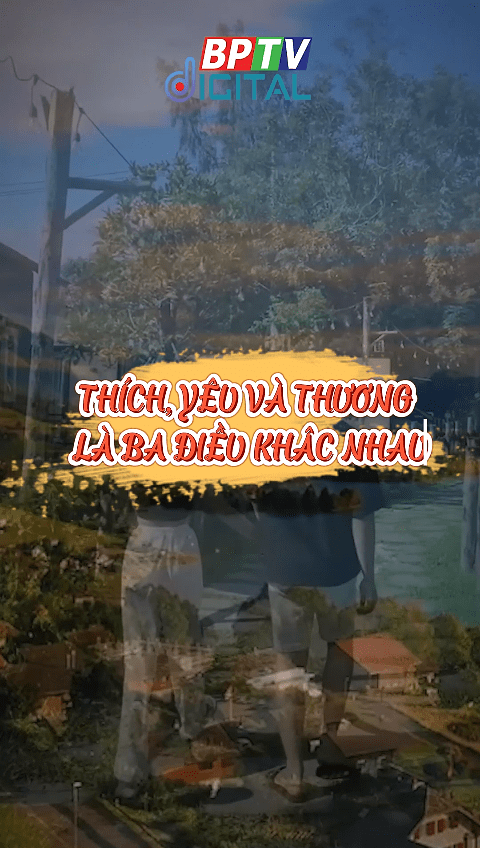 Thích, yêu và thương là 3 điều khác nhau 