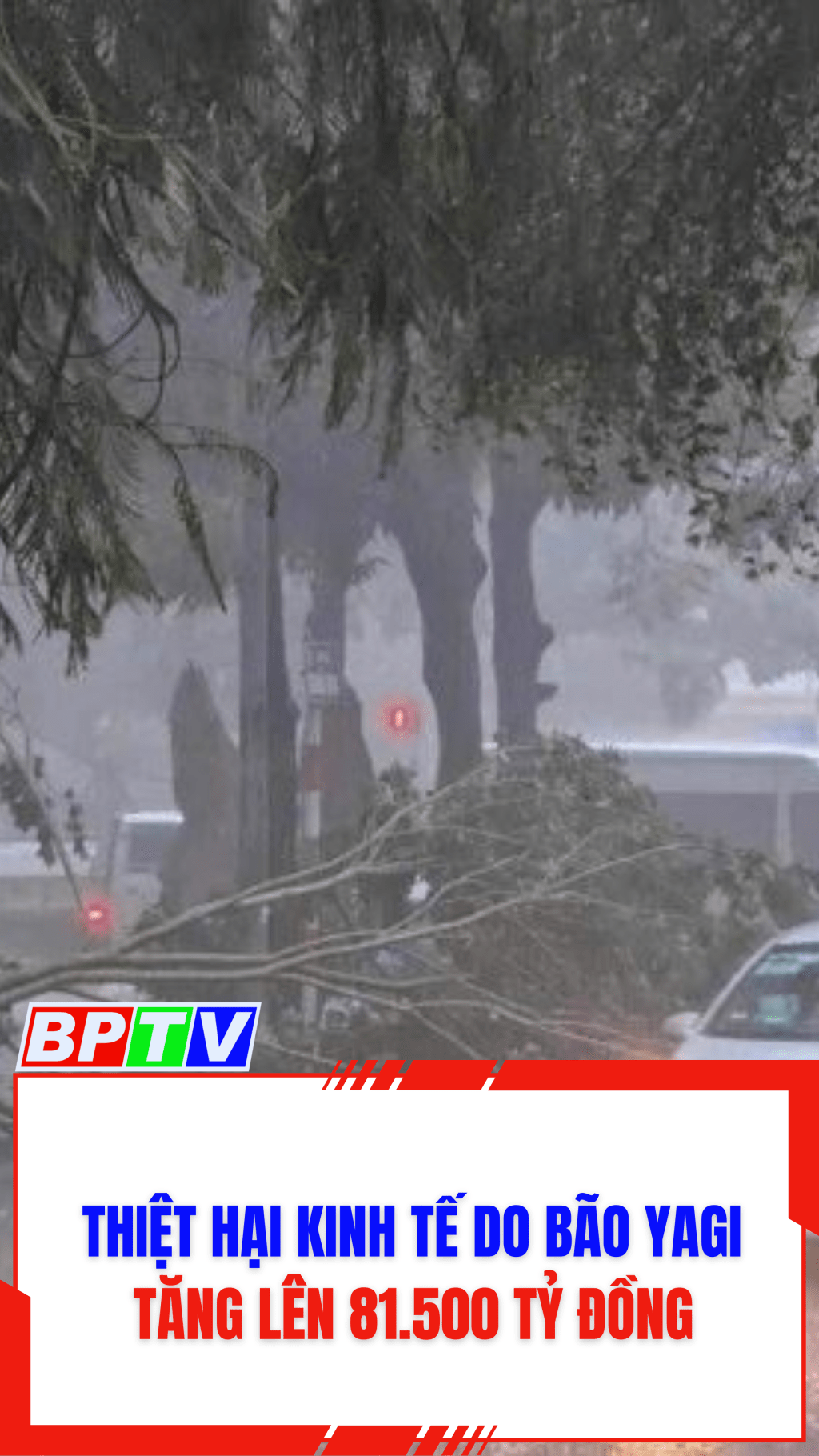 Thiệt hại kinh tế do b&atilde;o Yagi tăng l&ecirc;n 81.500 tỷ đồng #shorts