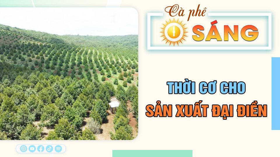 Thời cơ cho sản xuất đại điền | Cà phê sáng 8-4-2023 || BPTV