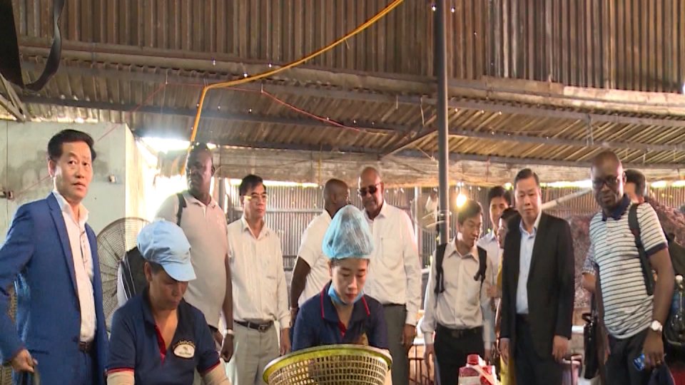 Thời sự sáng 17-2-2021