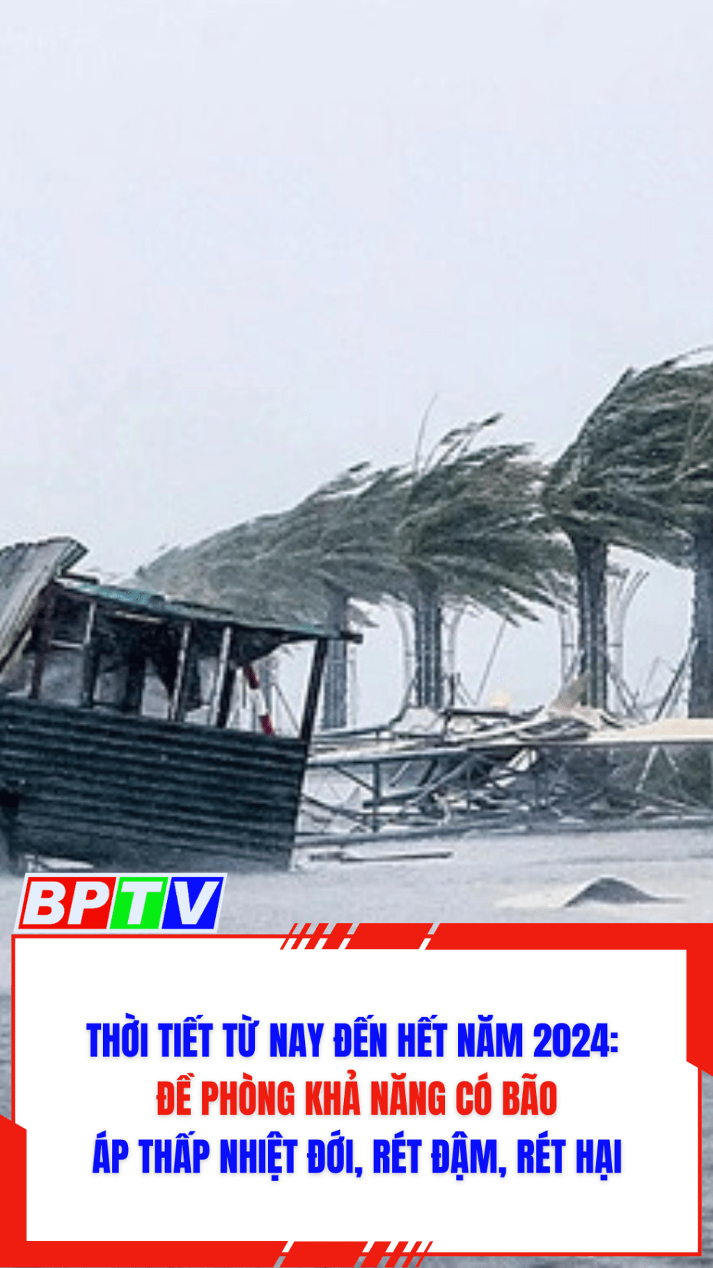 Thời tiết từ nay đến hết năm 2024: Đề ph&ograve;ng khả năng c&oacute; b&atilde;o, &aacute;p thấp nhiệt đới, r&eacute;t đậm, r&eacute;t hại #shorts