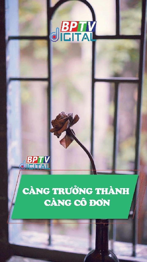 Thông điệp hôm nay gửi bạn: Càng trưởng thành, càng cô đơn #shorts