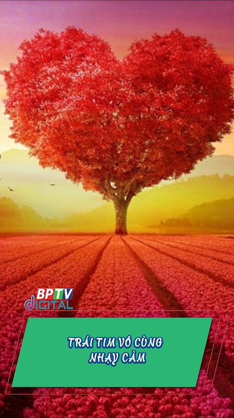 Thông điệp hôm nay gửi bạn - người có trái tim vô cùng nhạy cảm!  #shorts