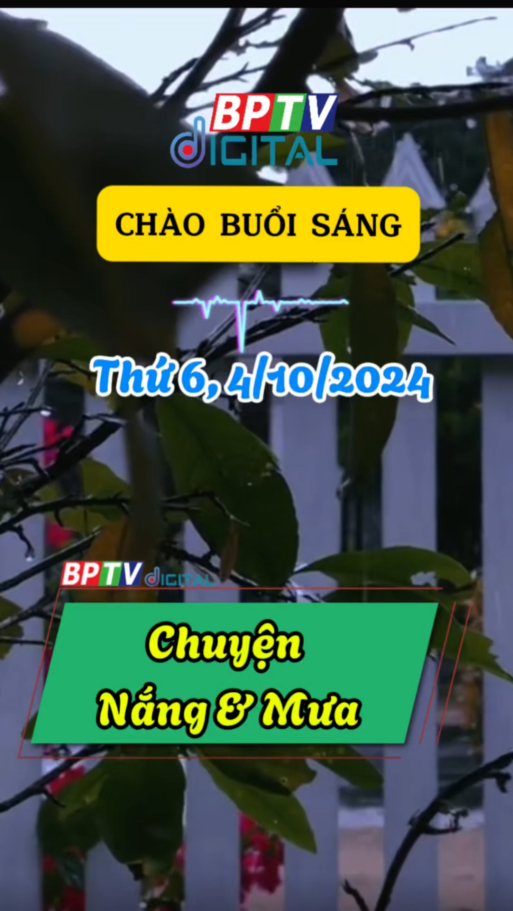 ☀️Th&ocirc;ng điệp ng&agrave;y mới: Đi qua ng&agrave;y ngược gi&oacute;, mới biết nhớ những l&uacute;c b&igrave;nh y&ecirc;n #shorts