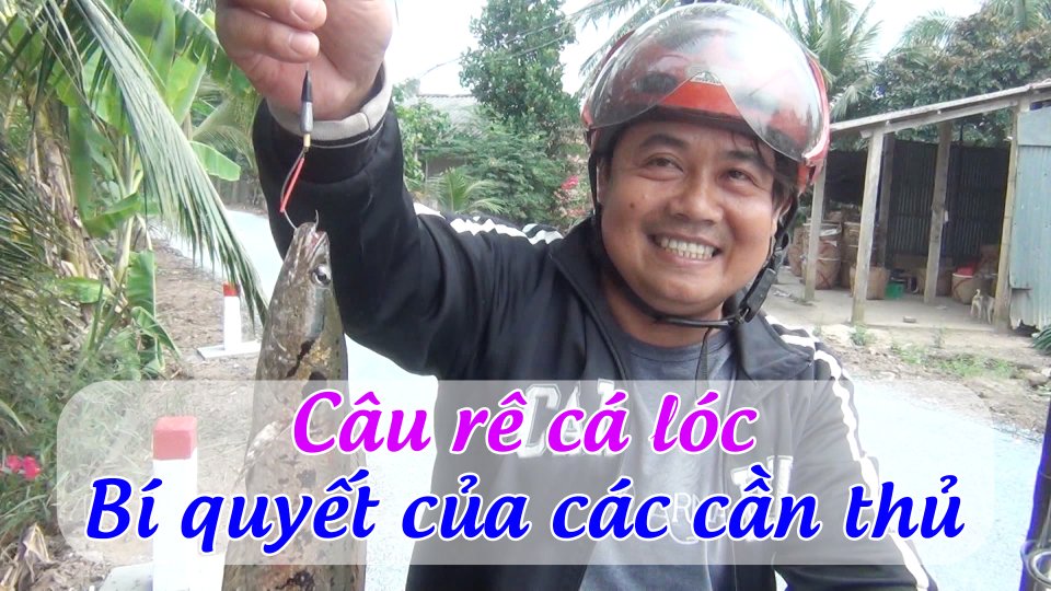 Thú câu rê cá lóc của các cần thủ | BPTV