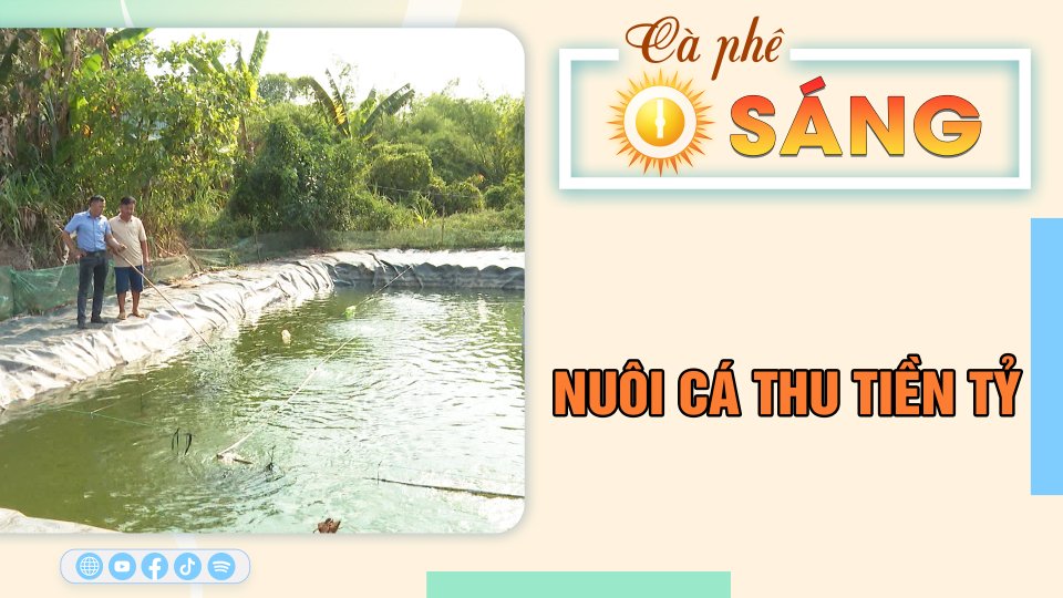 Thu tiền tỷ từ mô hình nuôi cá ở Lộc Hiệp | Cà phê sáng 27-5-2023 || BPTV